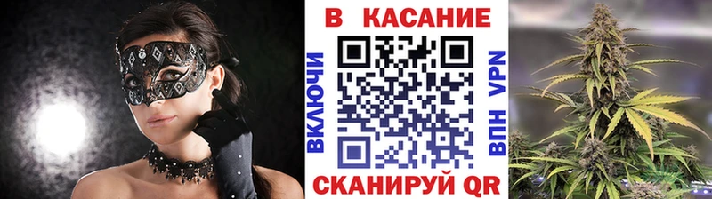 Виды наркотиков купить Вязники МЕТАДОН  blacksprut сайт  Псилоцибиновые грибы  КОКАИН  Канабис  СК  Меф мяу мяу  Экстази 