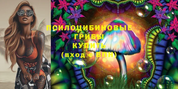 ешки Верея