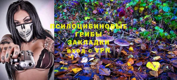ешки Верея