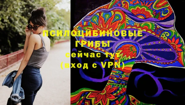 соль курить ск Верхний Тагил