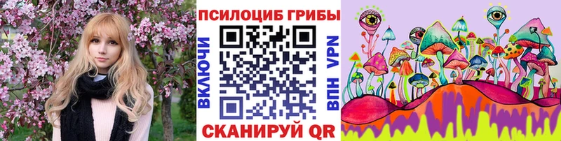 как найти Вязники блэк спрут ссылки Галлюциногенные грибы мухоморы